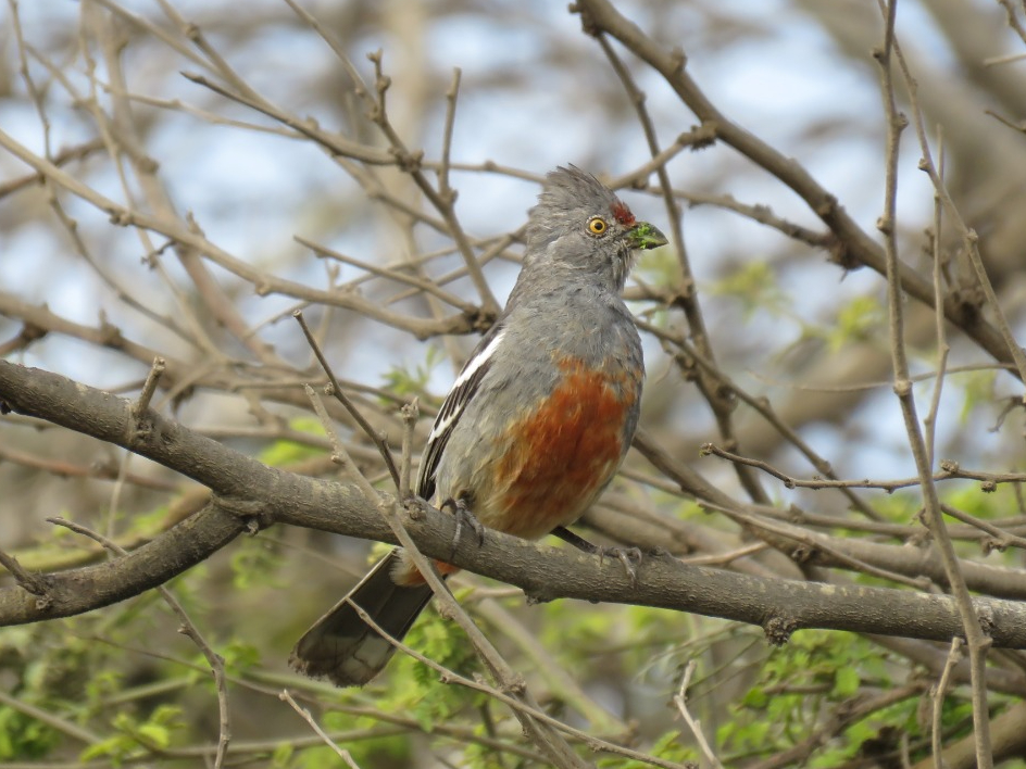 tour naturaleza chiclayo