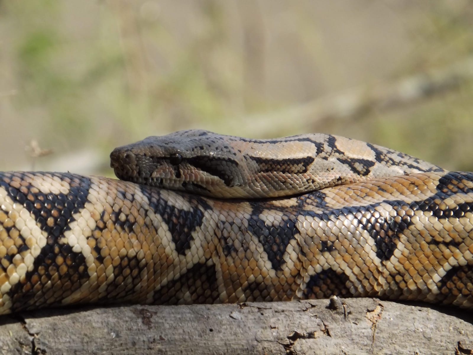 tour naturaleza chiclayo