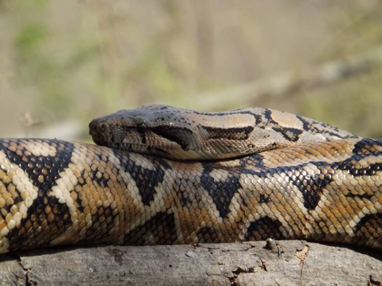 tour naturaleza chiclayo