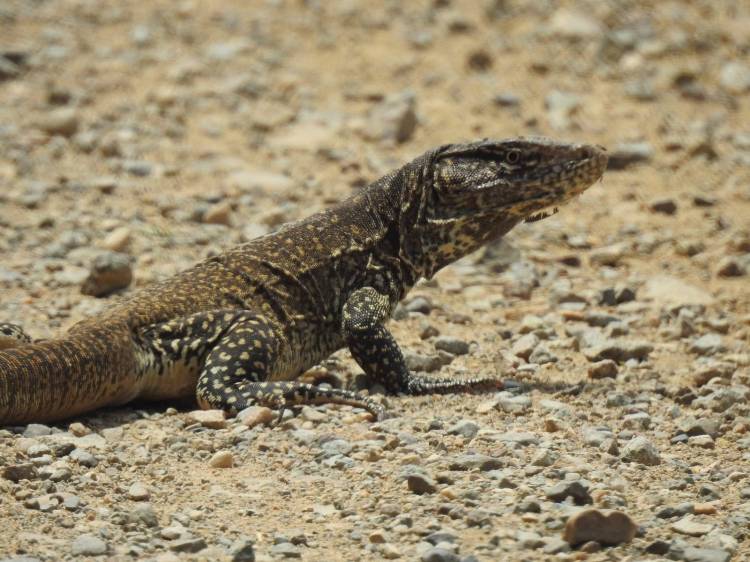 tour naturaleza chiclayo