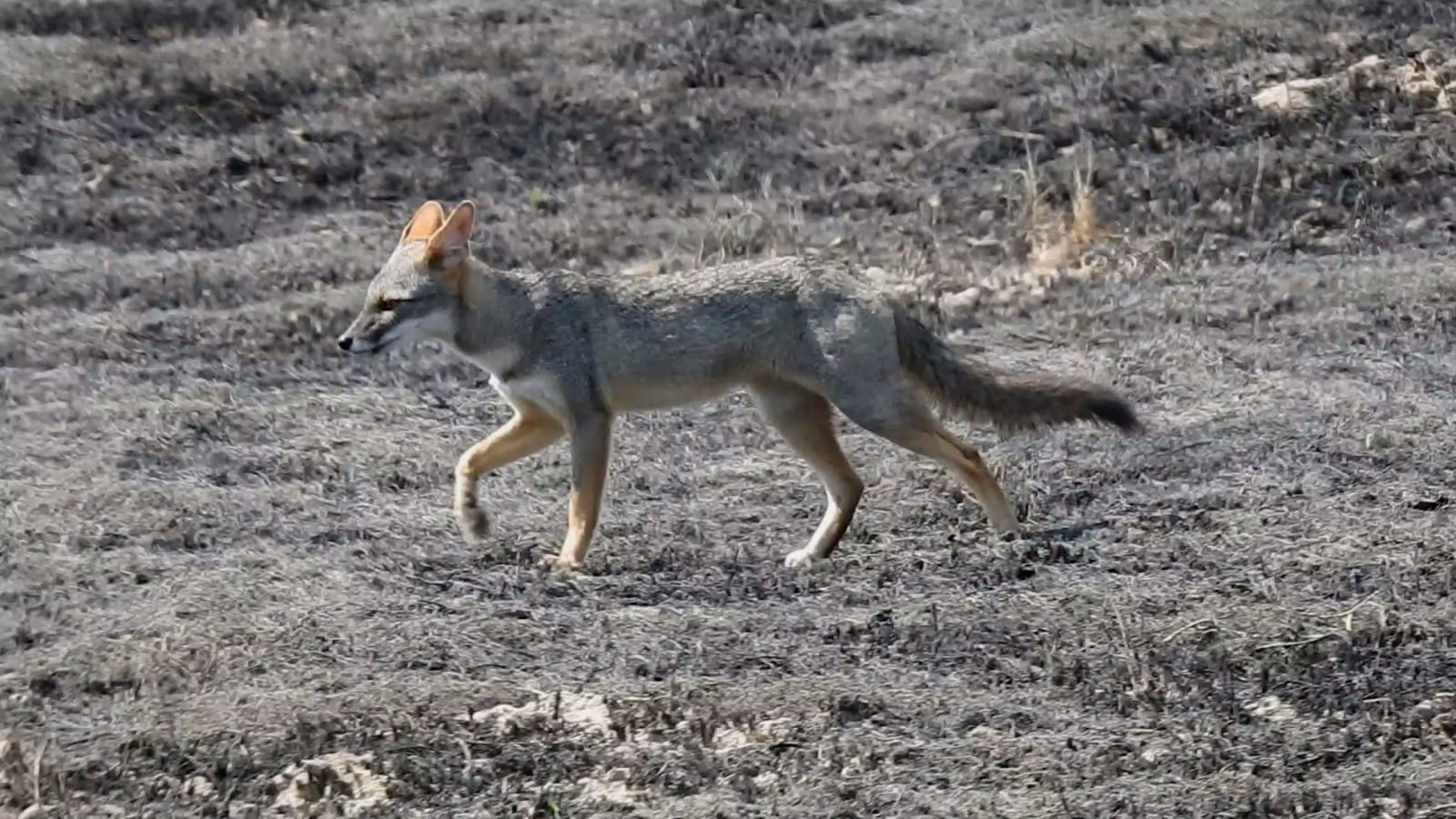tour naturaleza chiclayo