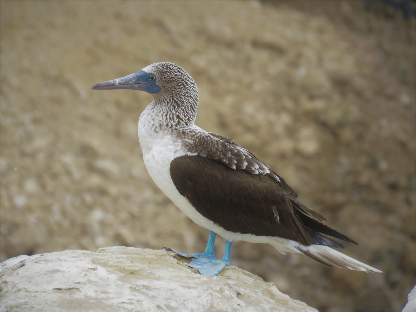tour naturaleza chiclayo