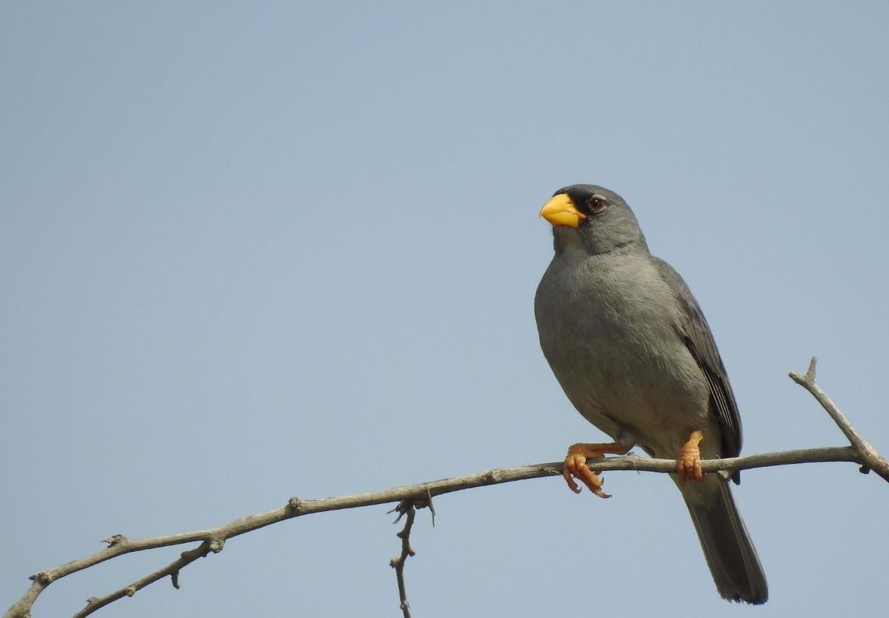 tour naturaleza chiclayo