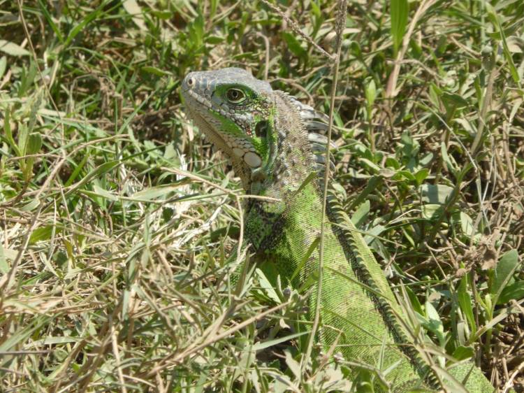 turismo naturaleza chiclayo