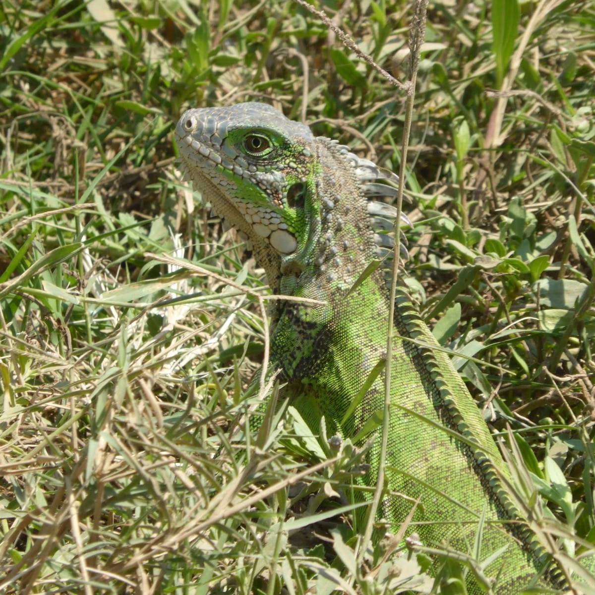 tour naturaleza chiclayo