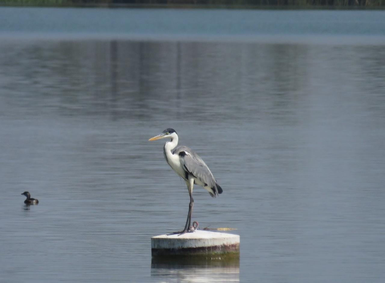 tour naturaleza chiclayo