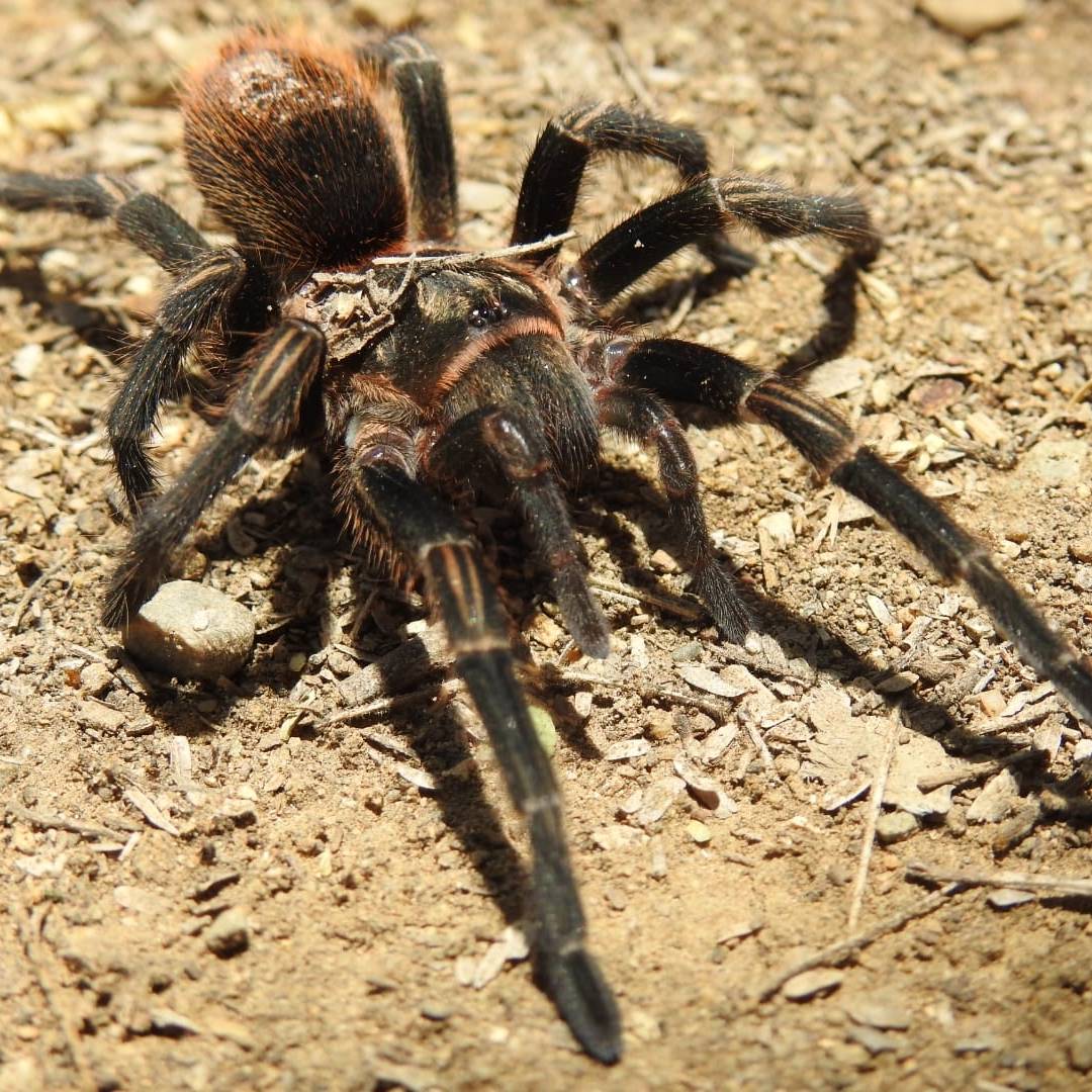 tour naturaleza chiclayo