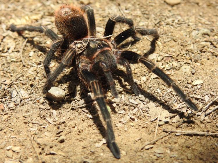 tour naturaleza chiclayo