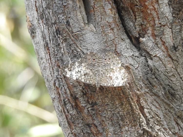 tour naturaleza chiclayo