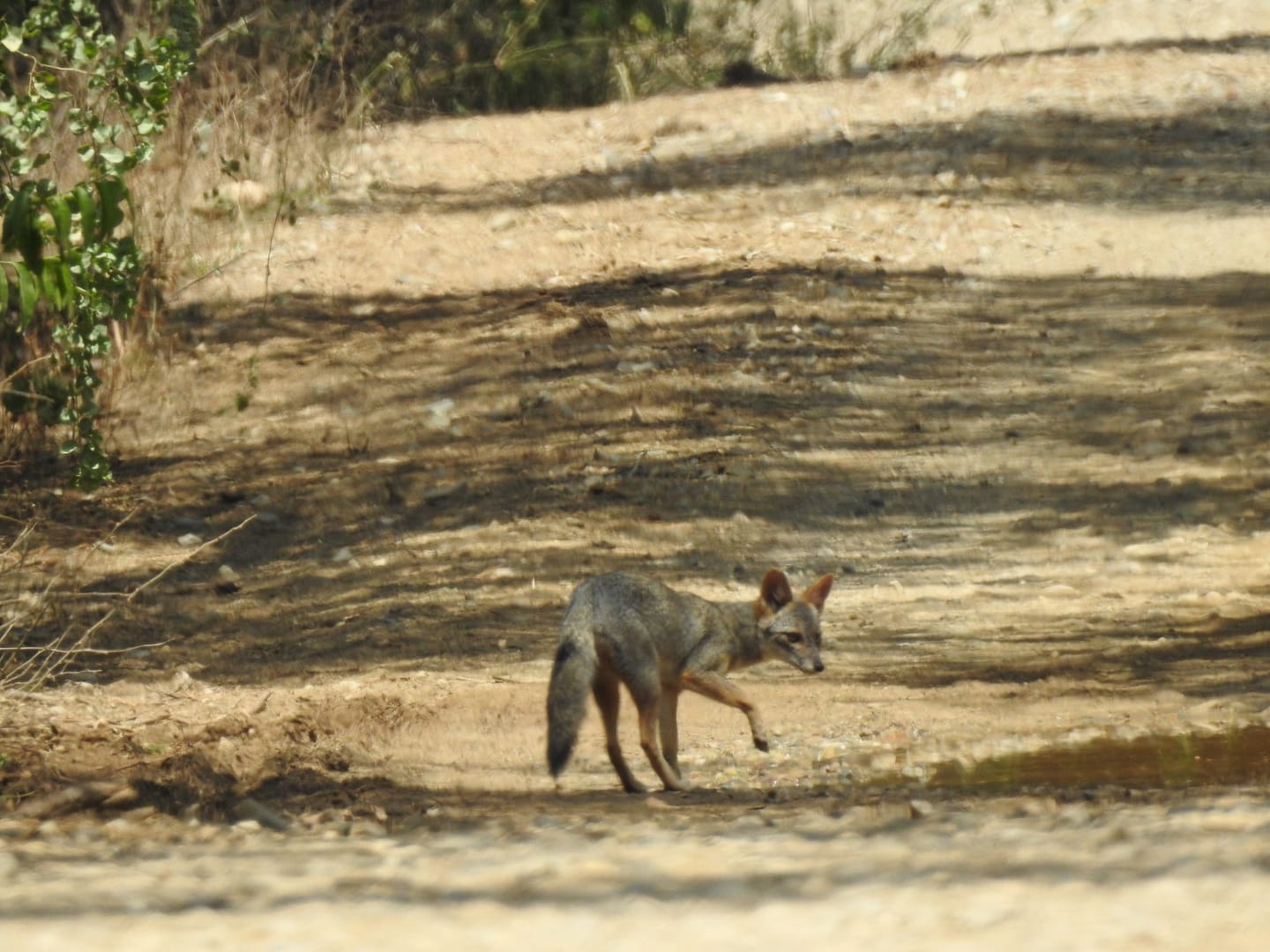 tour naturaleza chiclayo