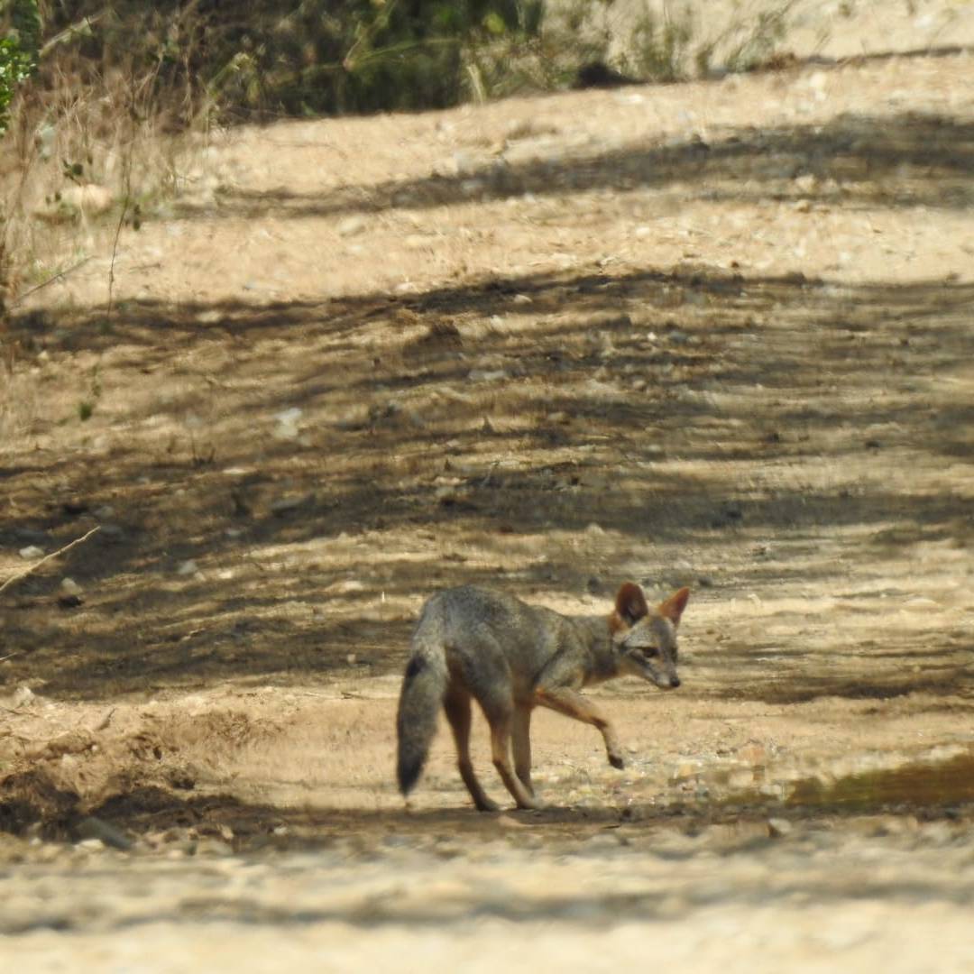 tour naturaleza chiclayo