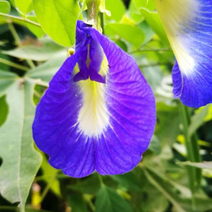 tour naturaleza chiclayo