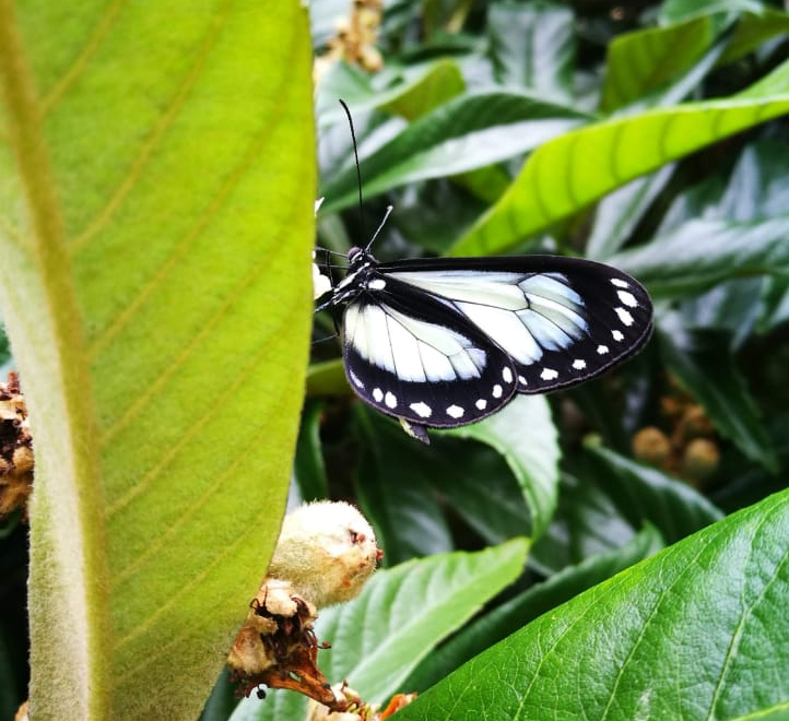 tour naturaleza chiclayo