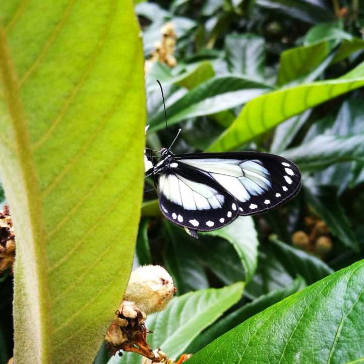 tour naturaleza chiclayo