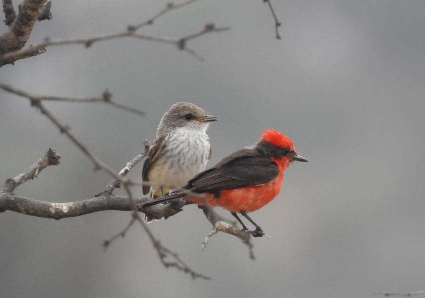 tour naturaleza chiclayo