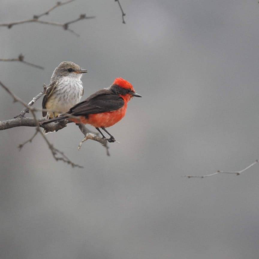 tour naturaleza chiclayo
