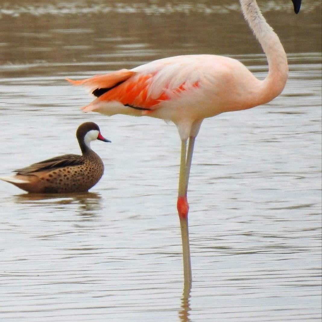 turismo playas chiclayo