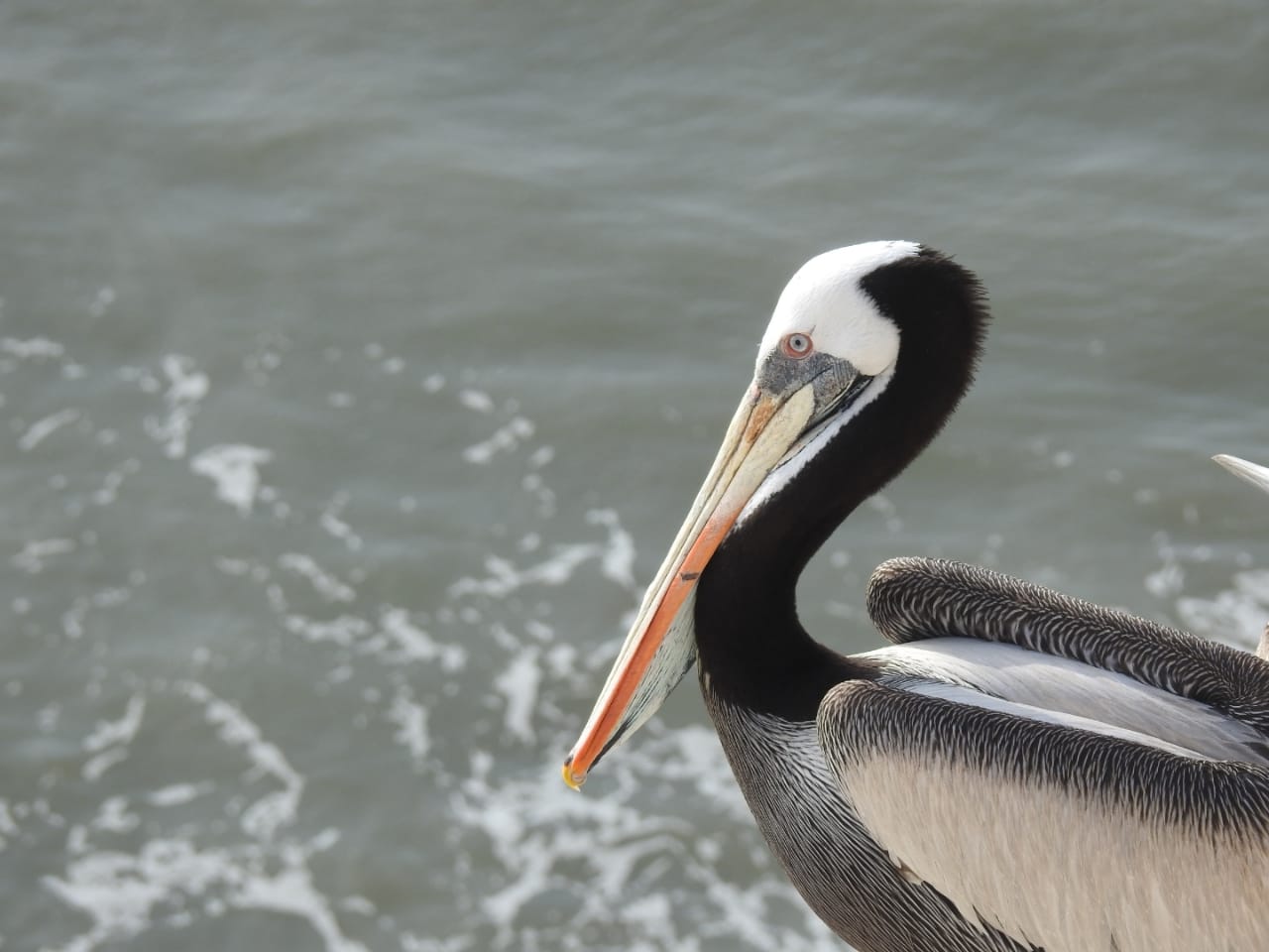 tour naturaleza chiclayo