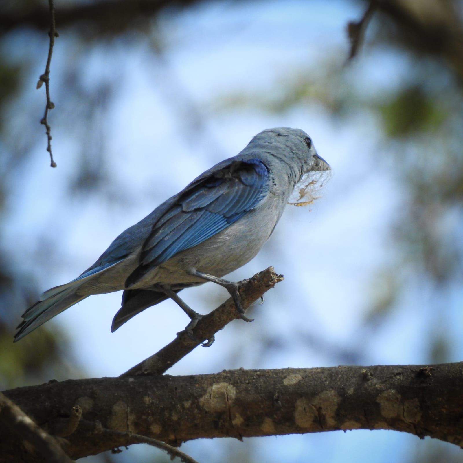 tours naturaleza chiclayo